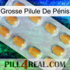 Grosse Pilule De Pénis cialis3